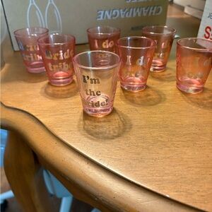 Pink Bridal Shot Glasses